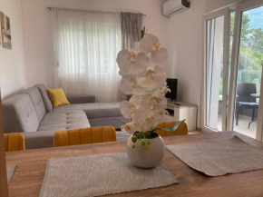 Vista Apartment Budva
